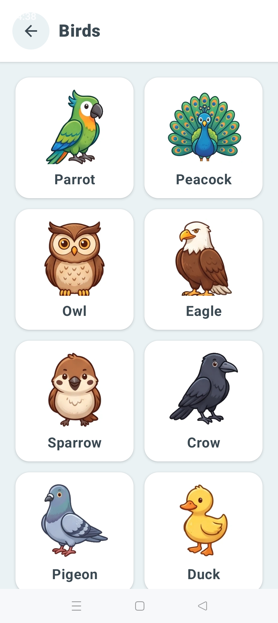 Birds category with vocabulary cards: Parrot, Peacock, Owl, Eagle, Sparrow, Crow, Pigeon, and Duck.